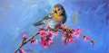 Birds and Blossoms 12x24 sold