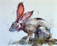 Hare-today-Gone-tomorrow-19x15